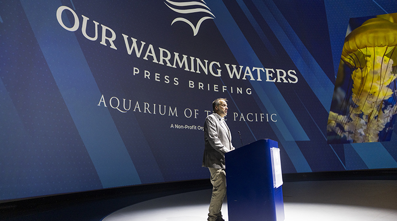 Aquarium of the Pacific Experts Discuss El Niño, Marine Heatwaves, and What They Could Mean for Southern California's Ocean