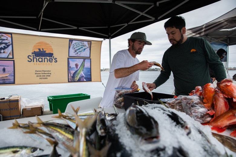 Two people lean towards one another as they both hold bottomfish while working to bag and display the various fish for sale in a booth at a fish market. A large yellow sign that says “Shane’s Seafoods” alongside photos and contact information, can be seen in the background.