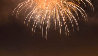 San Pedro preps for a big Cabrillo Beach fireworks celebration – Daily Breeze