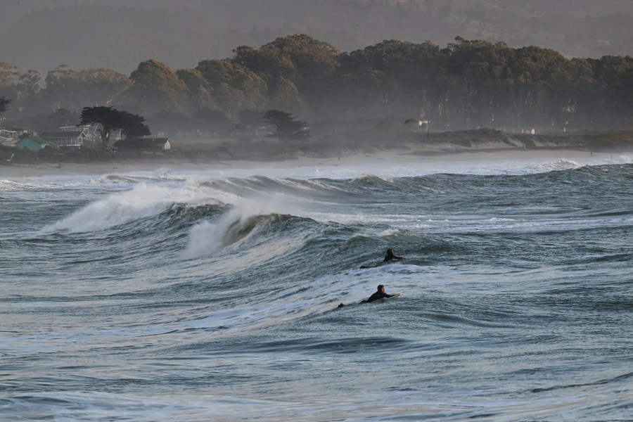Woman run over by lifeguard at popular California beach