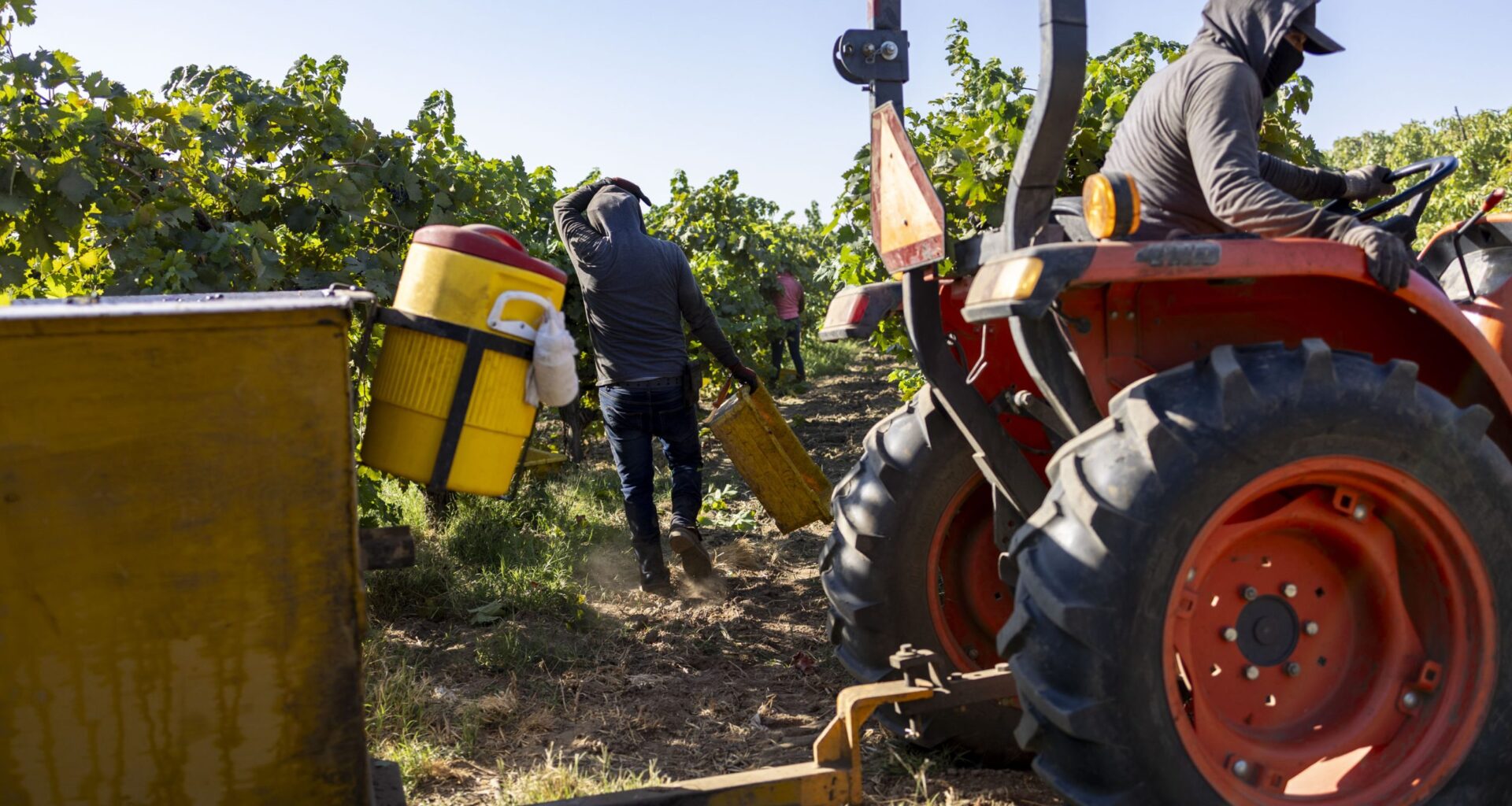 Despites new California pesticide rules, applications of dangerous fumigant spike