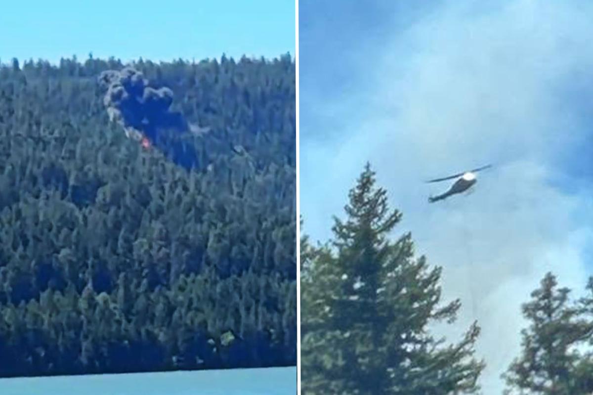 California fighter crashes near Mt Rainier sparking wildfire