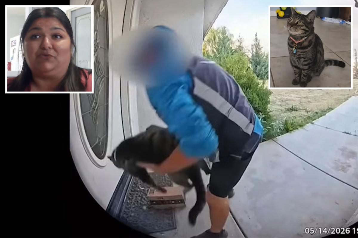 Shock twist after California Amazon delivery driver caught taking family cat off their doorstep