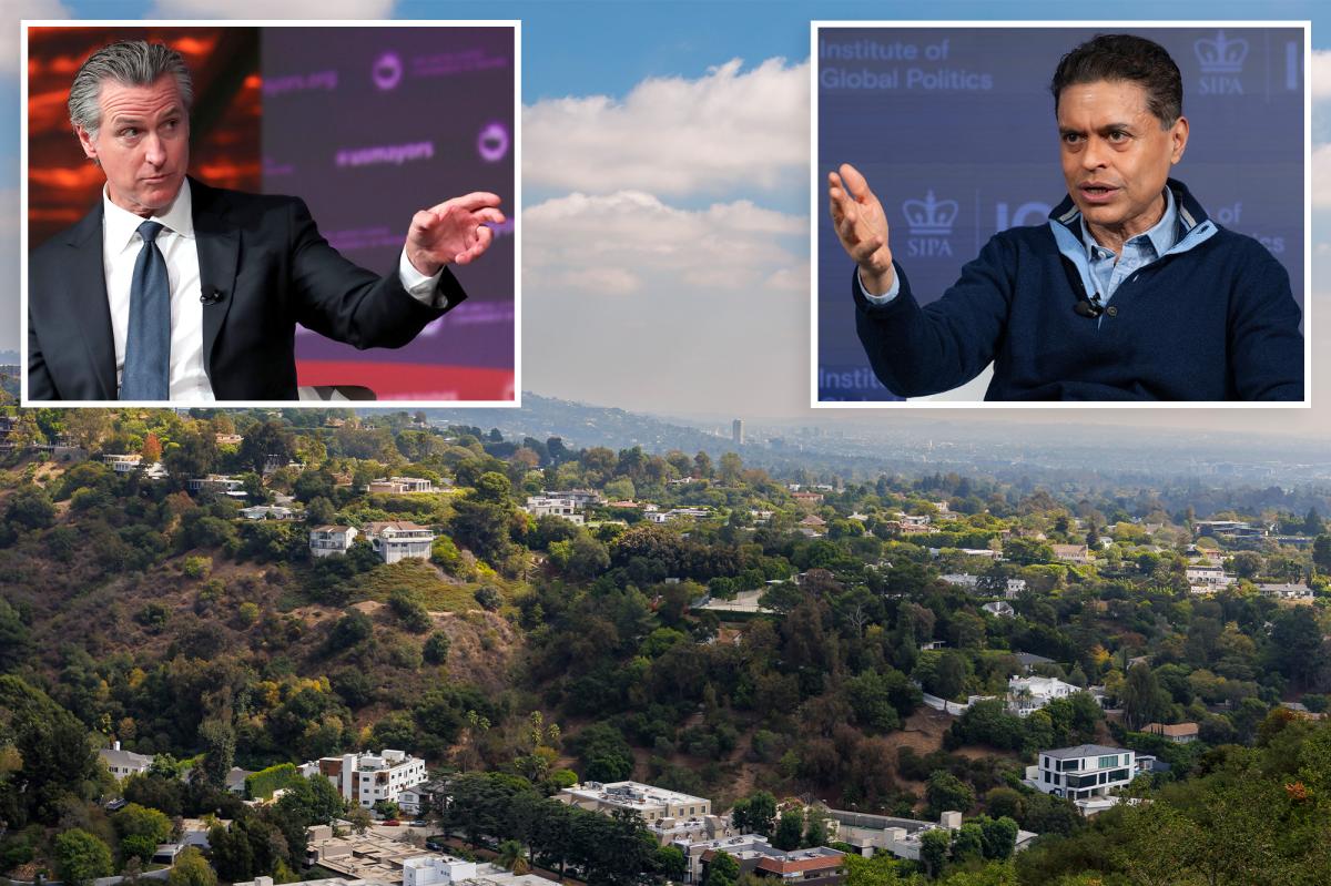 CNN's Fareed Zakaria blasts California's 'failing' Dem leaders on affordability: 'People are leaving'