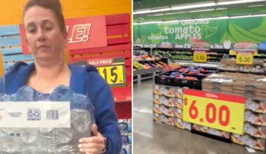 San Diego mom Alli Powell reveals how she feeds her entire family of four for just $100 a week