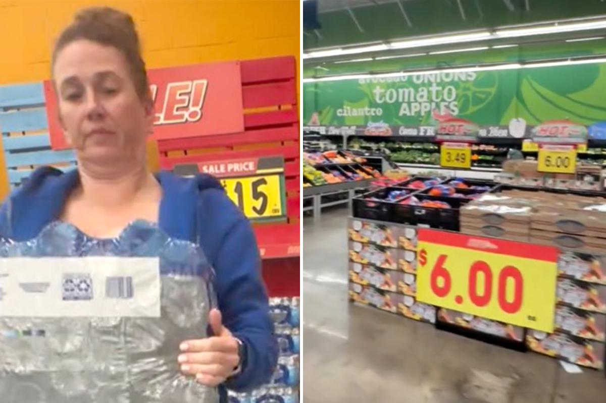 San Diego mom Alli Powell reveals how she feeds her entire family of four for just $100 a week