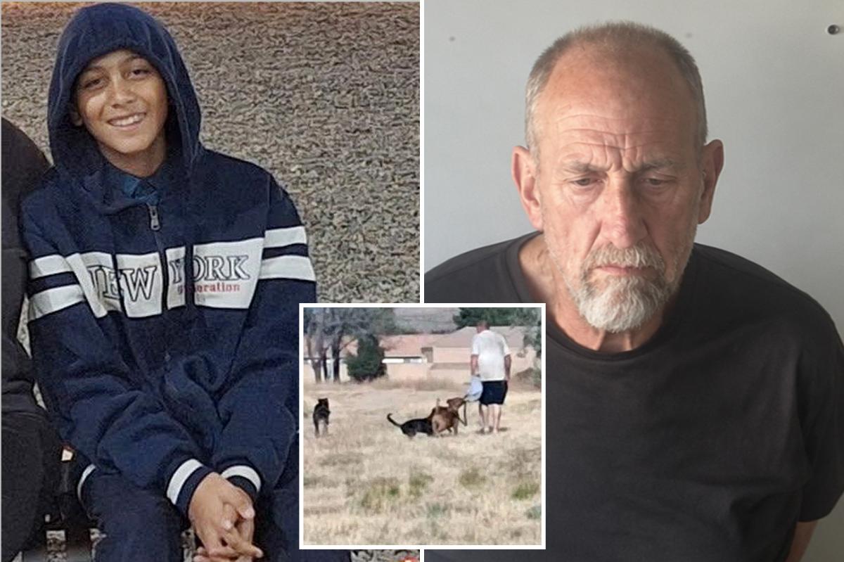 Arrest after dogs chased 12-year-old boy to his drowning death at California park