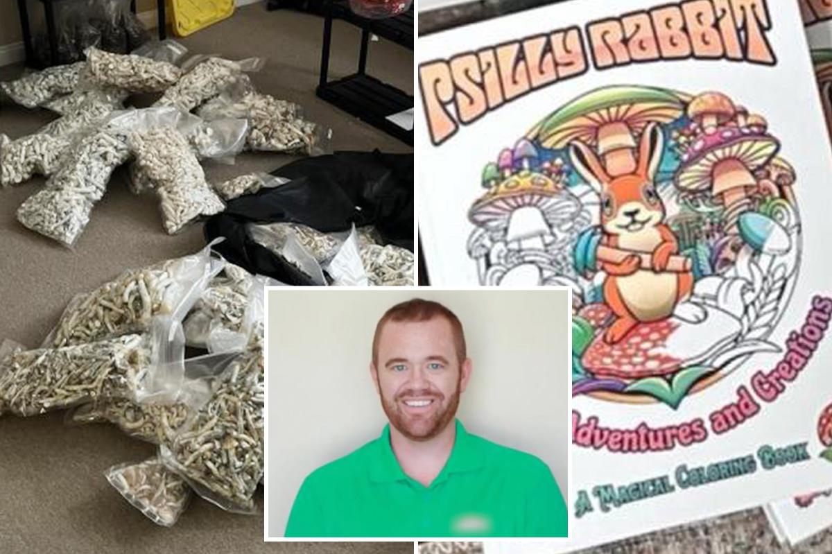 San Diego dad pleads guilty to giving ‘magic mushrooms’ to his kids