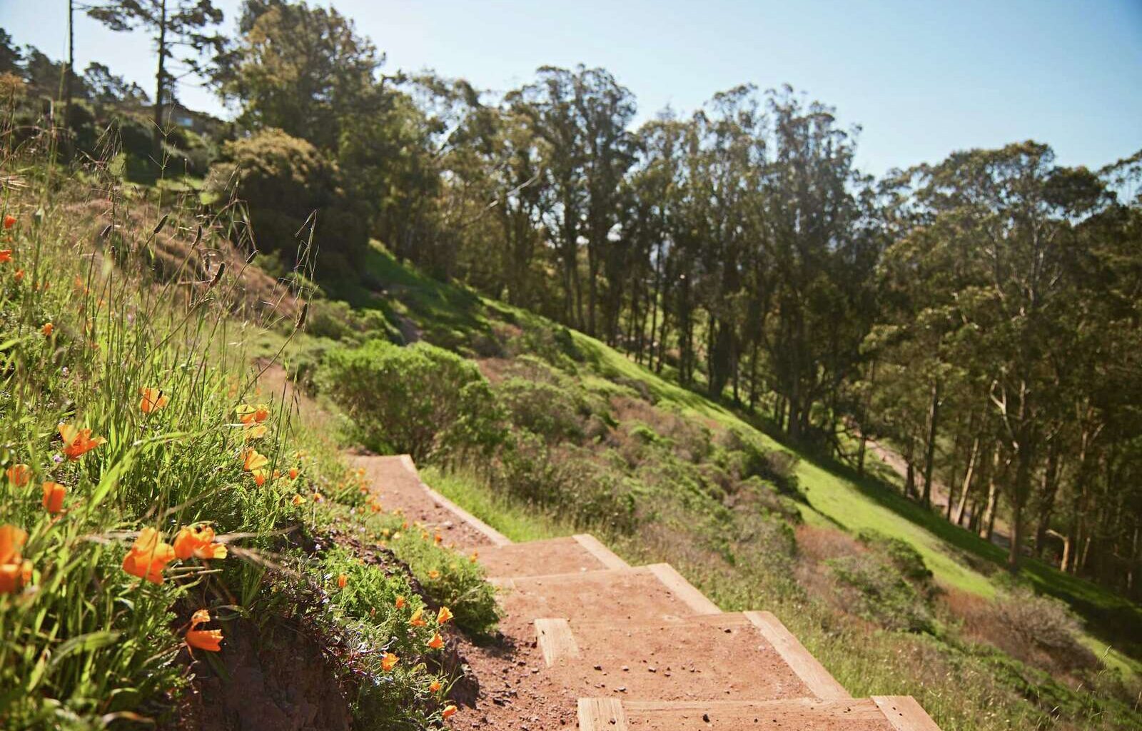 Best underrated San Francisco parks you should visit