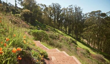 Best underrated San Francisco parks you should visit