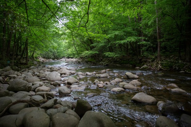 A stream runs past Sugarlands Valley Nature Trail at Great Smoky Mountain National Park, in Tennessee on May 24, 2023. (Jessica Tezak/The New York Times)