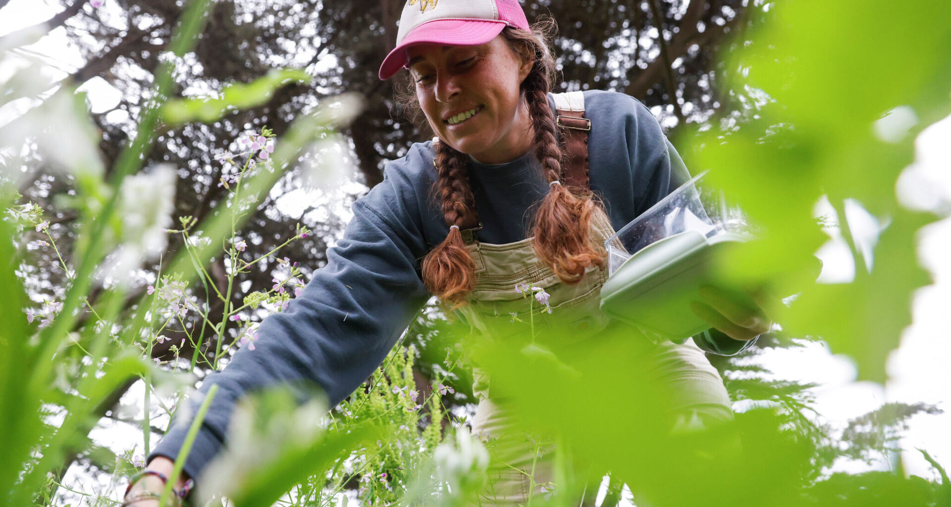 Karley Webb forages for Bay Area Michelin-starred restaurants