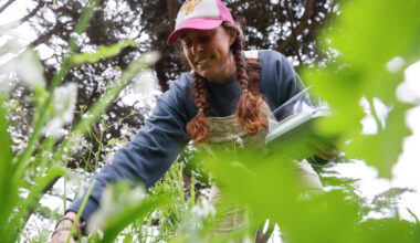 Karley Webb forages for Bay Area Michelin-starred restaurants