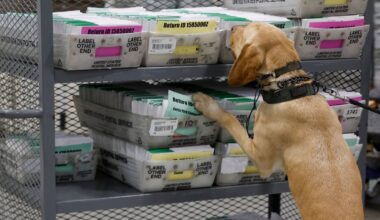 See inside the LA County Ballot Processing Center – NBC Los Angeles