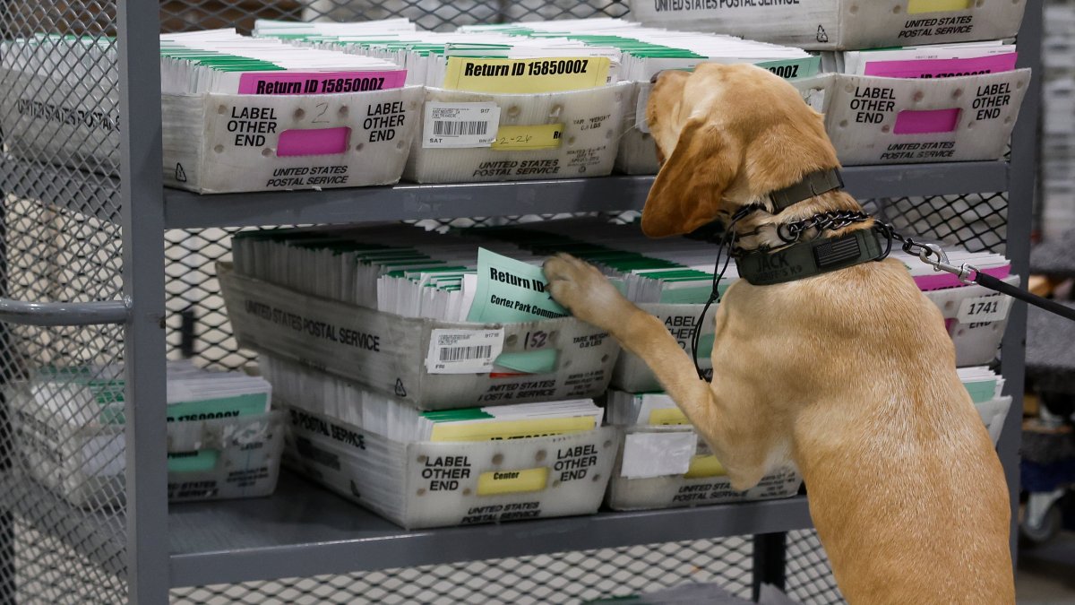 See inside the LA County Ballot Processing Center – NBC Los Angeles