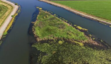 A rare private island in California is for sale for $39,000