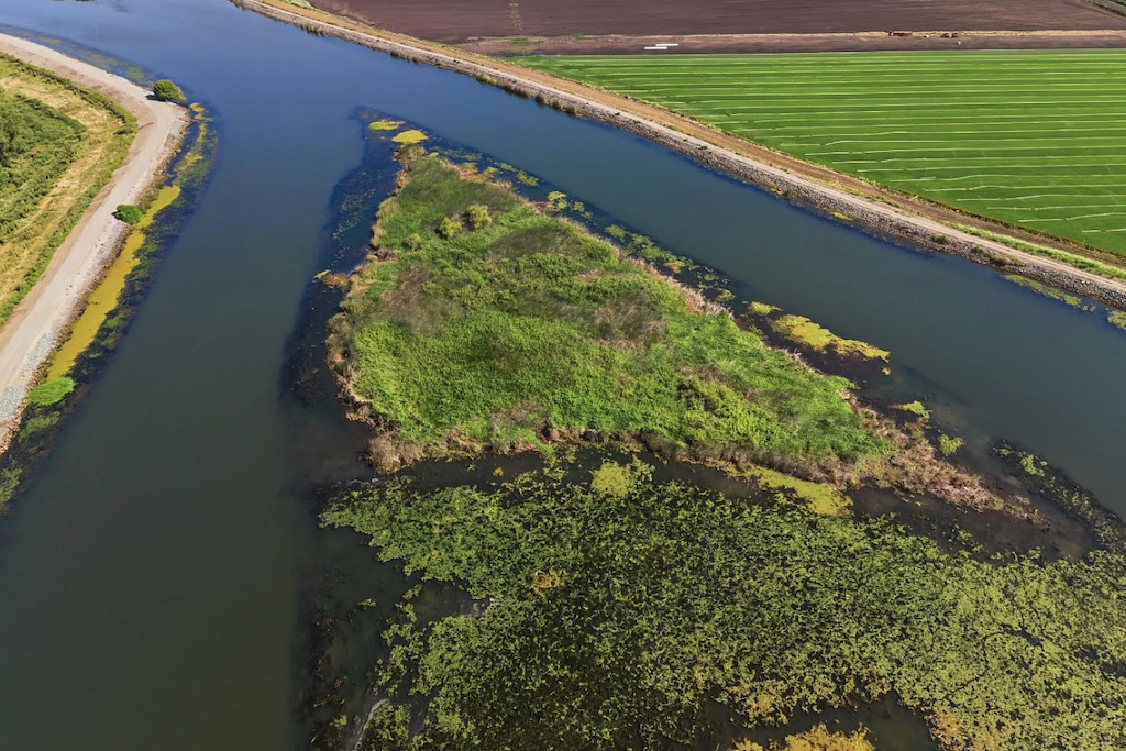 A rare private island in California is for sale for $39,000