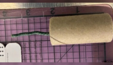 California man charged with bringing explosives to Sacramento airport after repeatedly calling FBI tip line