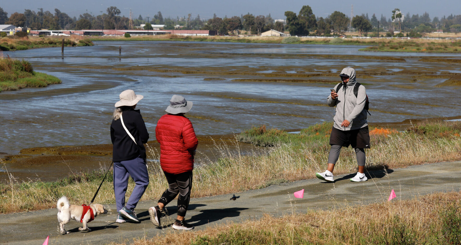 This top Bay Area bird-watching spot was nearly paved over