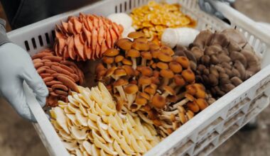 Business Beat: Get to know Long Beach Mushrooms owners during intimate community event  – Press Telegram
