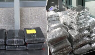 CBP seizes over $300K in fentanyl, cocaine at two California border ports