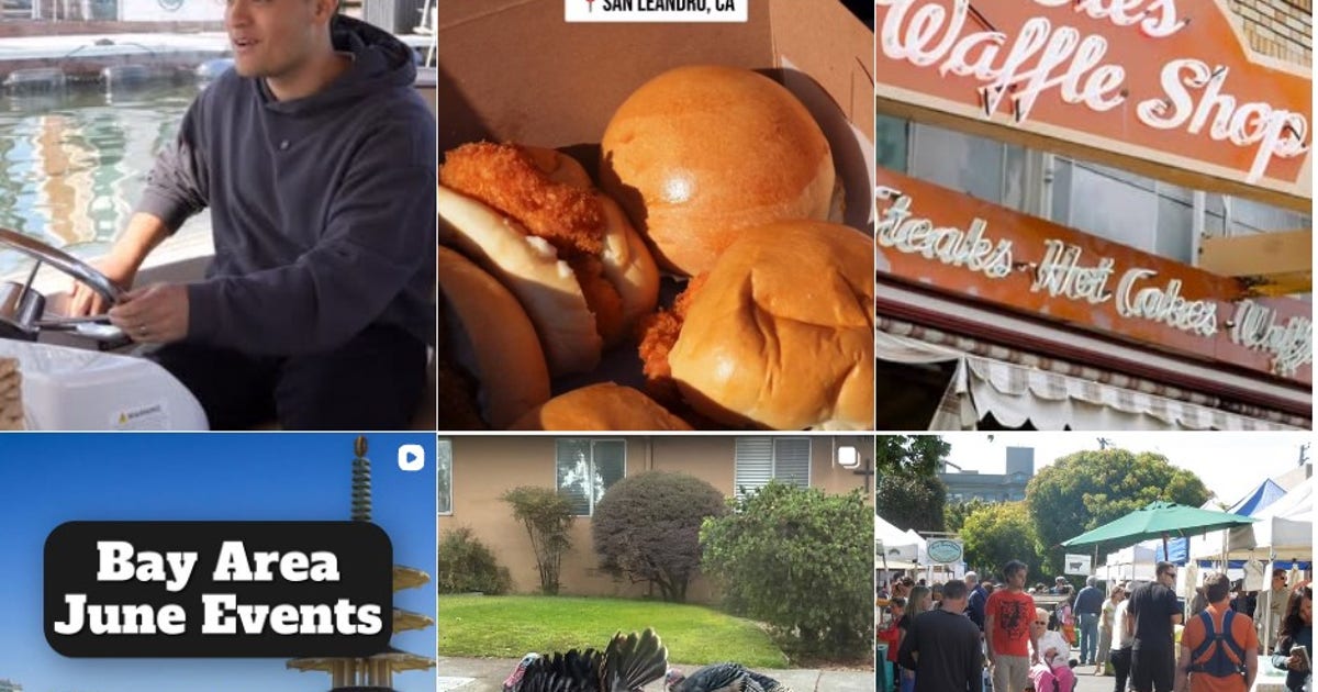 What should I do this weekend? Bay Area newsletters offer some answers