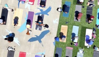 Alameda's Fav Spots for Self Care + Gather Festival