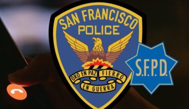 Driver arrested after allegedly crashing into Castro business