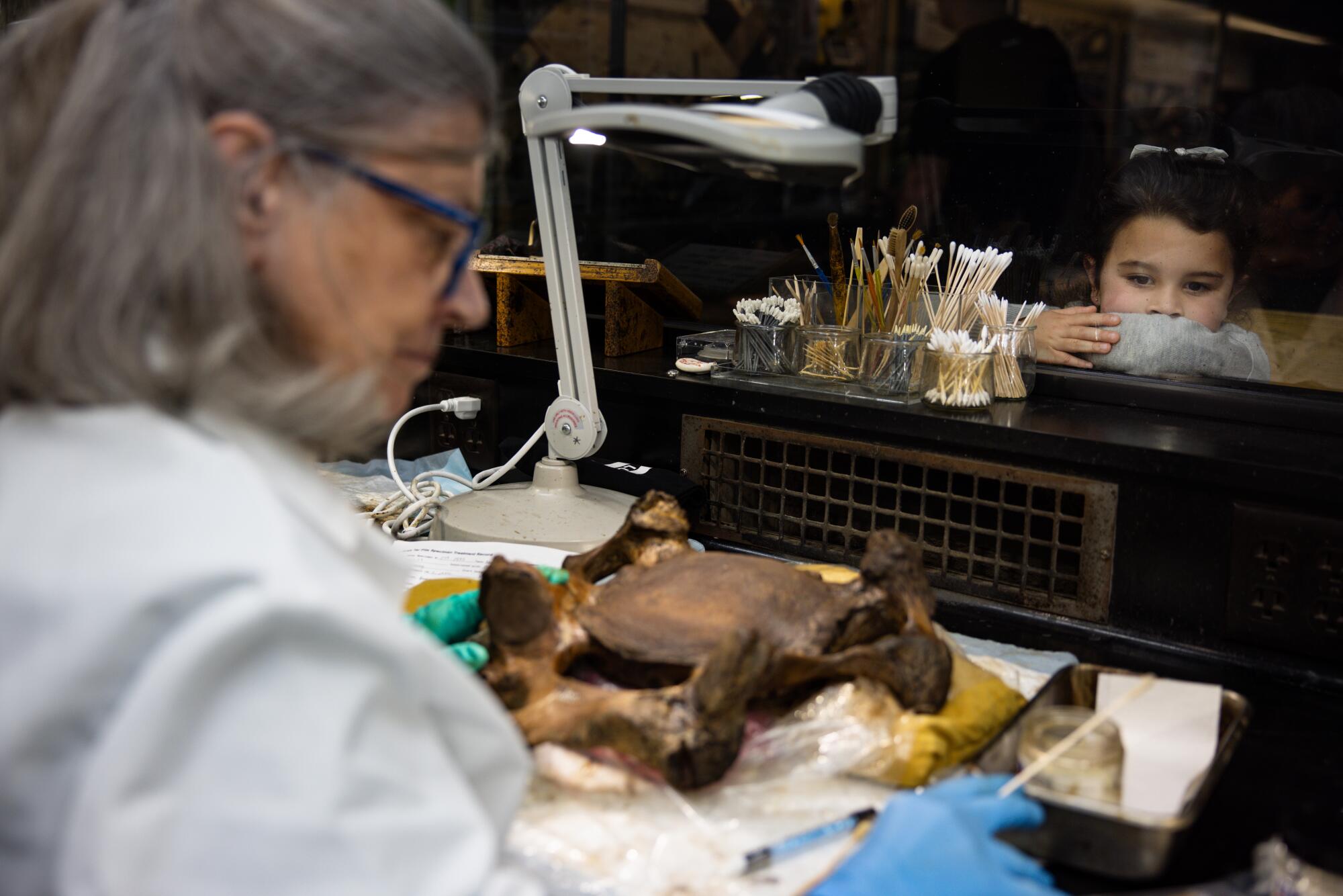 A woman in a white lab coat examins a fossil as a child watches.