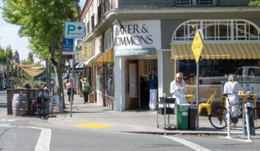 Berkeley rejects push to make Elmwood a 'historic district'