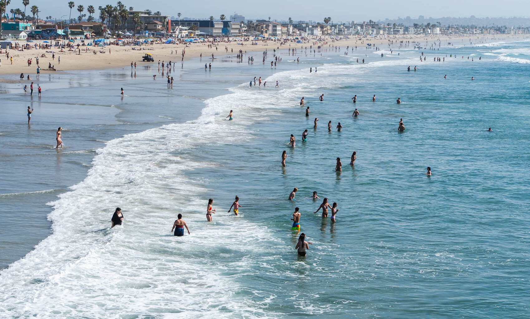 Opinion: Pacific Ocean’s warming, instability producing ecological disruption