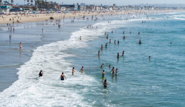 Opinion: Pacific Ocean’s warming, instability producing ecological disruption