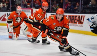 Blackhawks Blue Line Could Use Zellweger If the Ducks Make Him Available