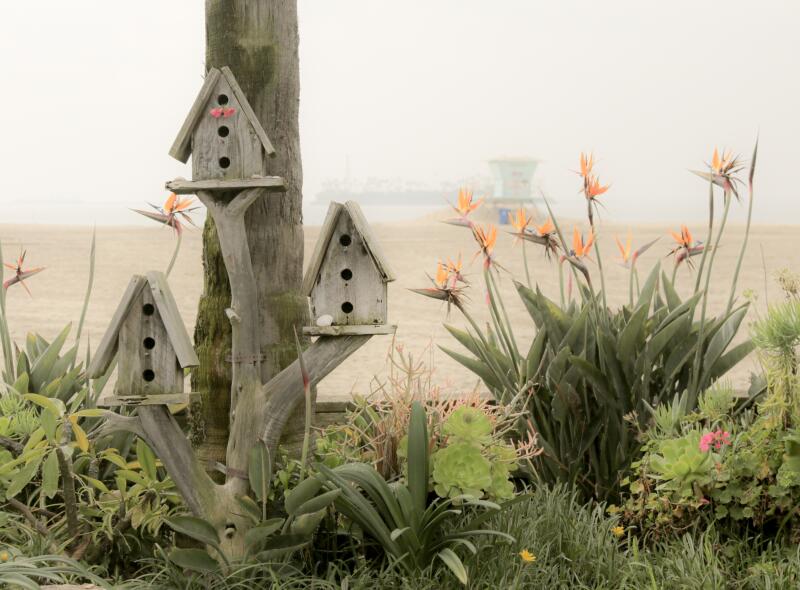 Birdhouses located near the Long Beach boardwalk.