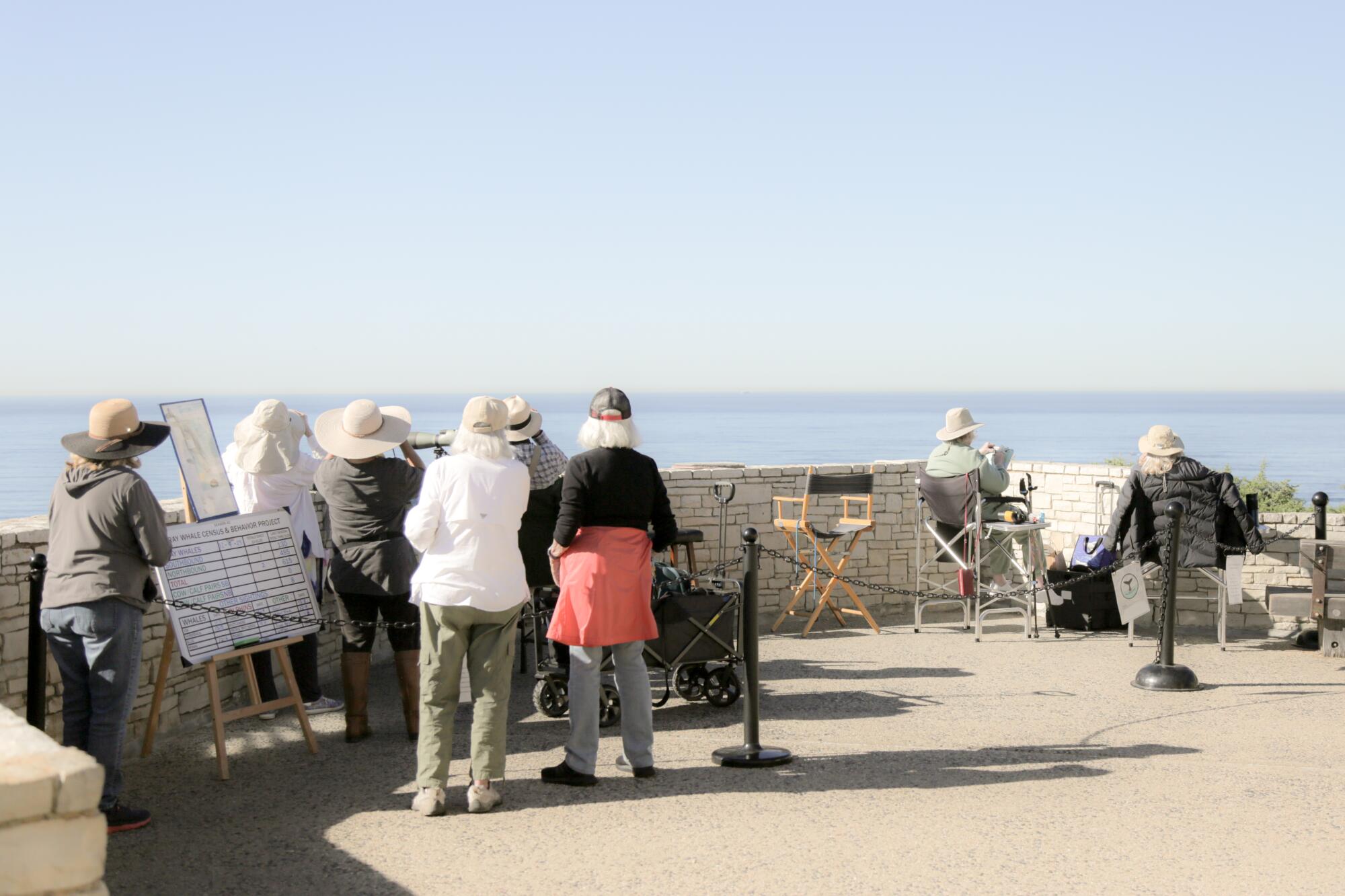 Volunteers with the Gray Whale Census and Behavior Project scanning the horizon. 