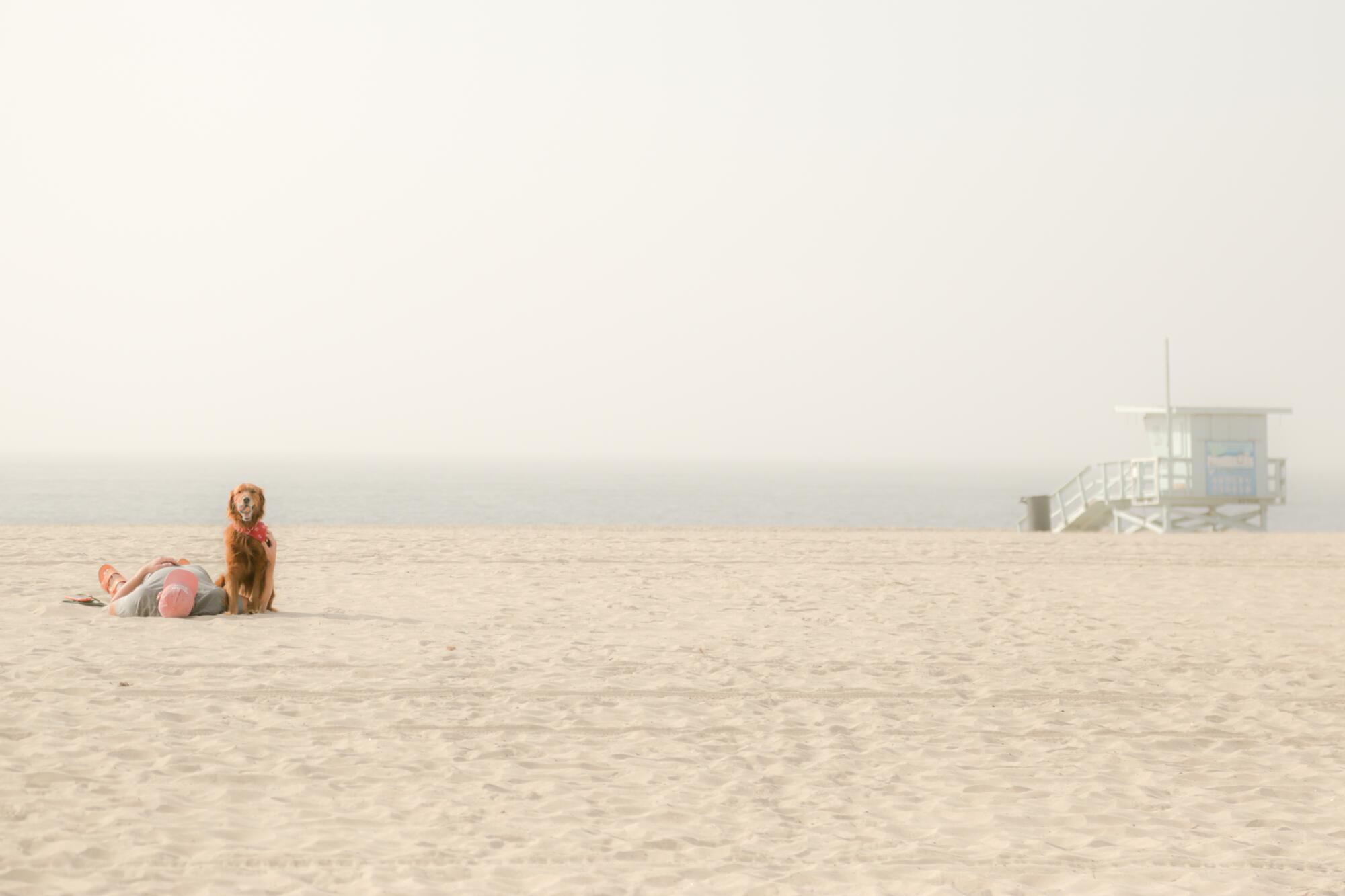 A dog and his man relaxing on the beach in Marina Del Rey.