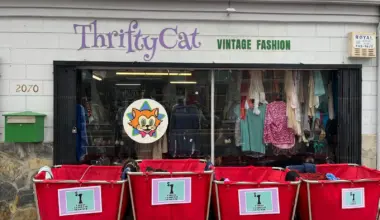 Berkeley thrift shop blames city for closure
