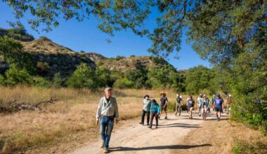 Environmentalists say bid to end roadless rule could spoil local forests – Orange County Register