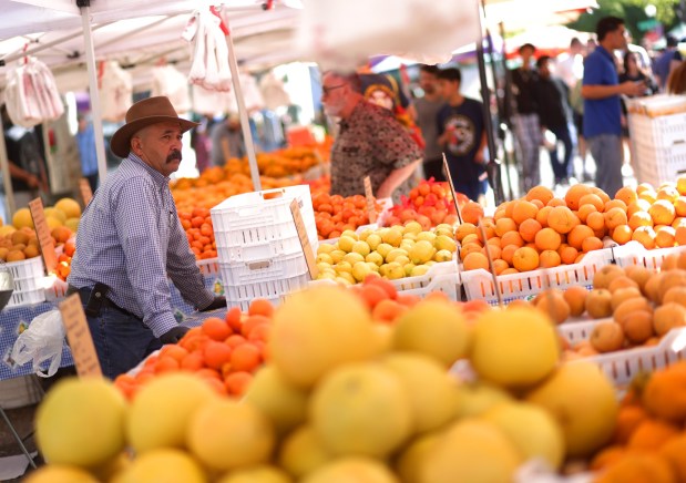 A fruit stand worker watches as customers shop during the weekly Campbell Farmers' Market on Sunday, March 15, 2026. (Aric Crabb/Bay Area News Group)
