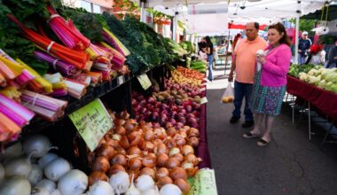 How Bay Area farmers markets became a symbol of downtown resilience – Times Herald Online