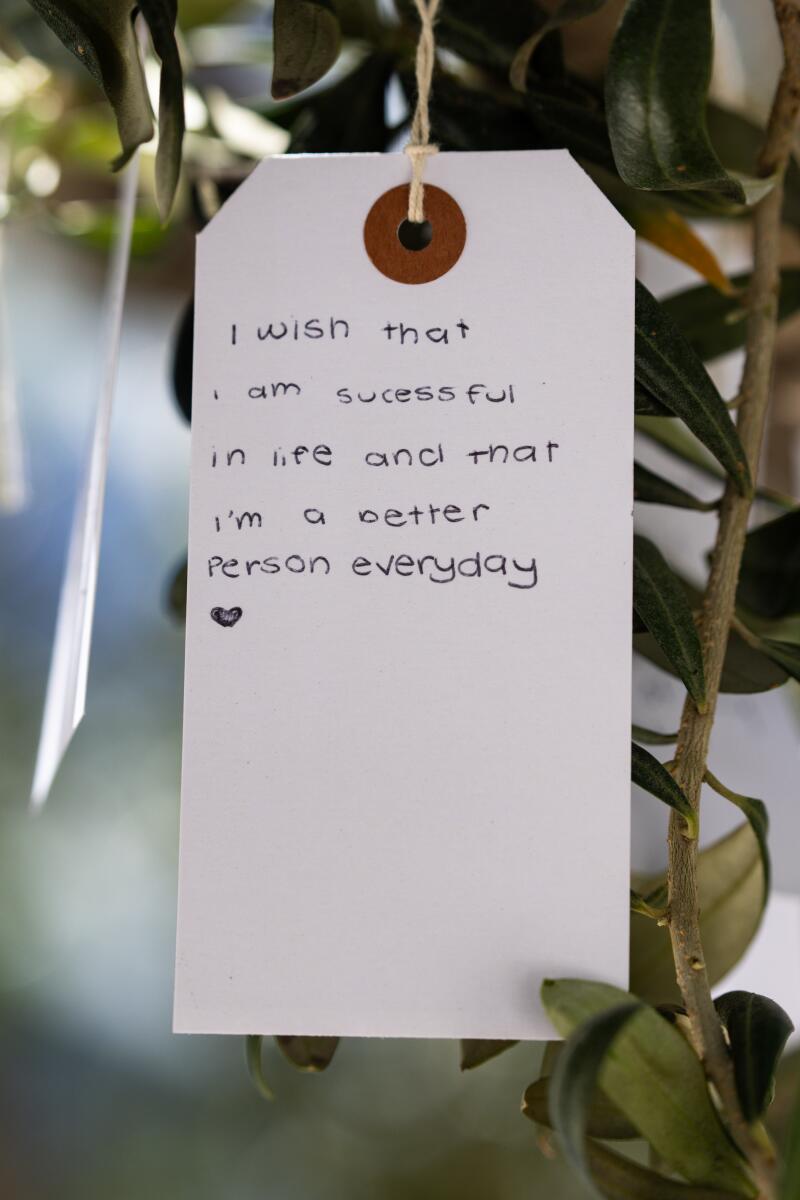 Visitors tie paper tags bearing wishes onto trees in the courtyard of The Broad.