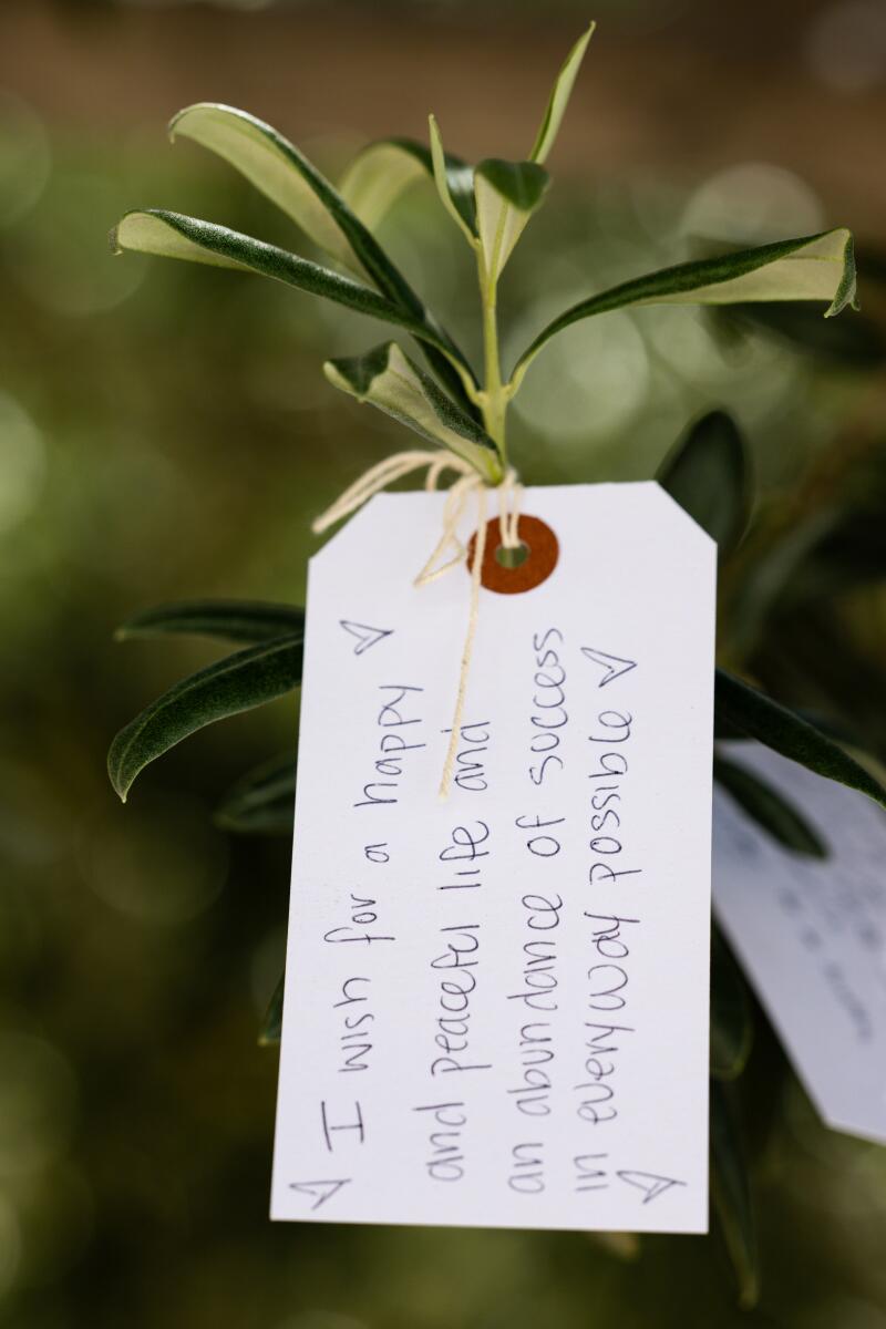 Visitors tie paper tags bearing wishes onto trees in the courtyard of The Broad.