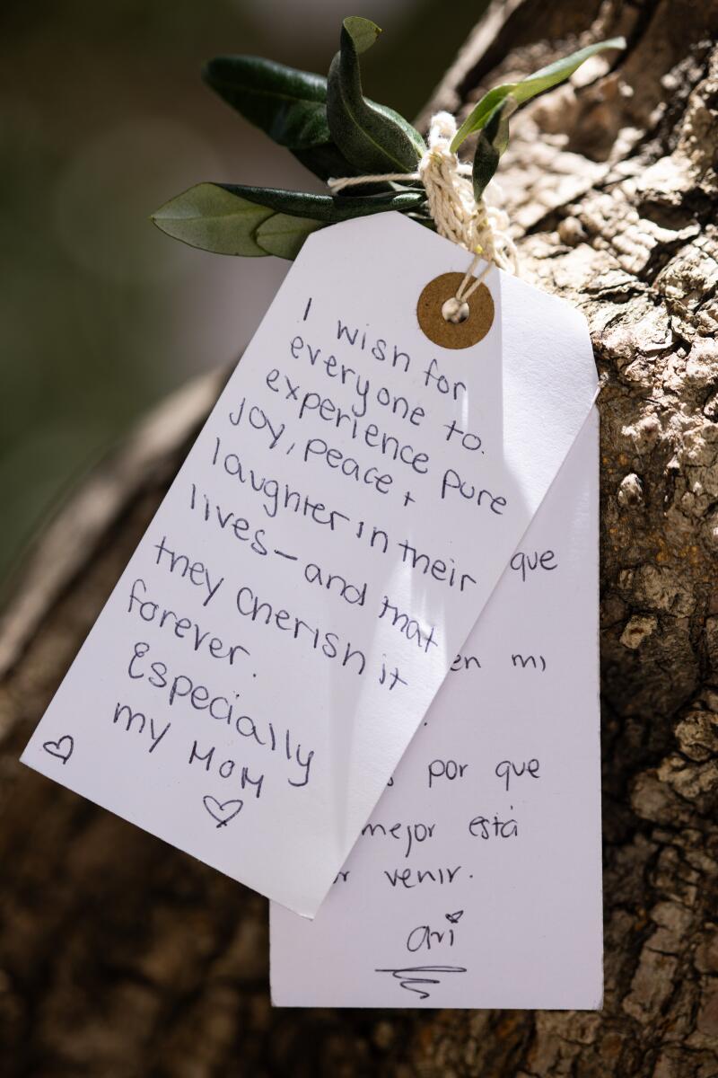 Visitors tie paper tags bearing wishes onto trees in the courtyard of The Broad.