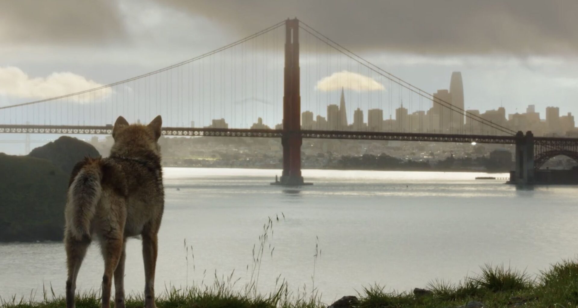A new celeb-studded video touts San Francisco’s resurgence