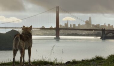A new celeb-studded video touts San Francisco’s resurgence