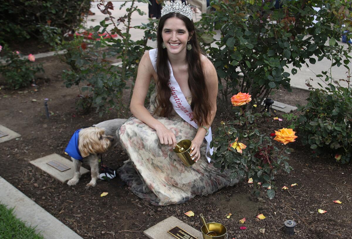 Miss Huntington Beach Gabrielle Samiy plants an orange rose bush in the Queen's Rose Garden.