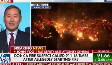 John Yoo explains prosecutor's challenge in California Palisades fire trial