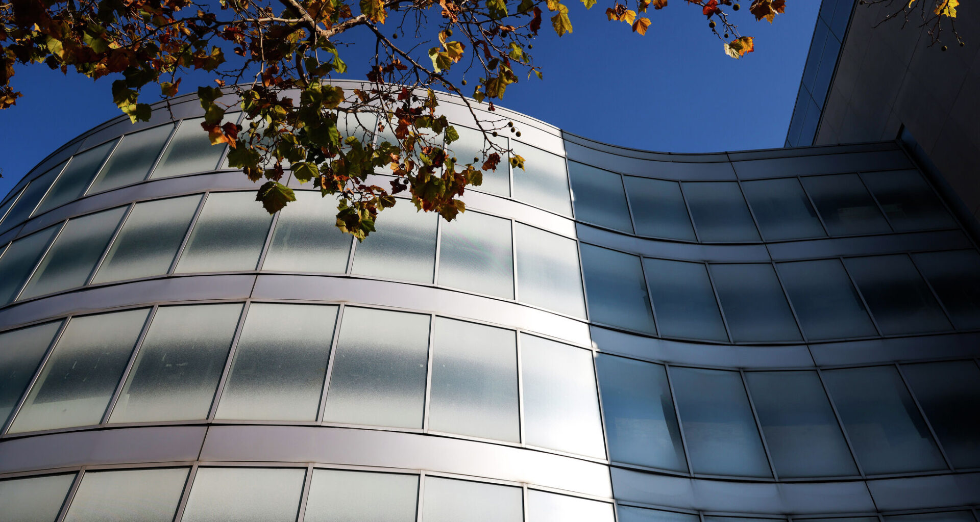 Sunlight ruling at San Francisco jails being ignored, suit claims
