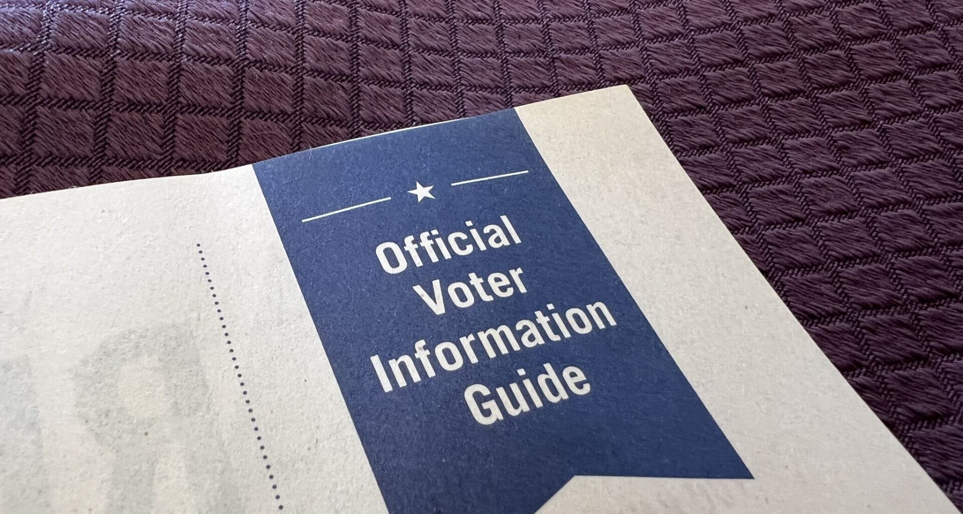 Potentially offensive voter guide statements targeted in California