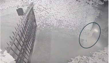 S.F. police search for mystery woman linked to Altman home firebombing